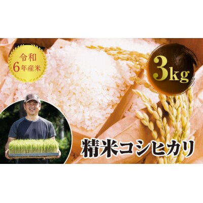 令和6年産 JAS認定 有機栽培米 コシヒカリ 精米 3kg F4D-1554