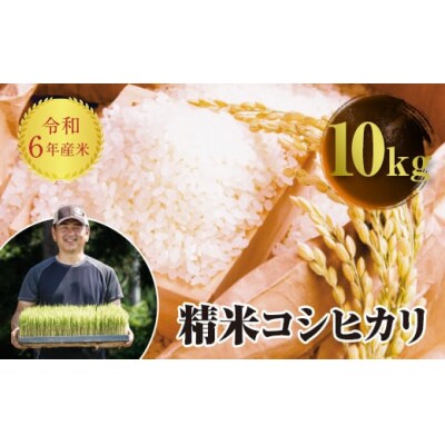 令和6年産 JAS認定 有機栽培米 コシヒカリ 精米 10kg(5kg × 2) F4D-1566