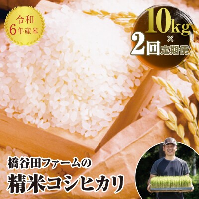 《定期便2ヶ月》 令和6年産米 コシヒカリ 精米 10kg (5kg × 2) F4D-1567