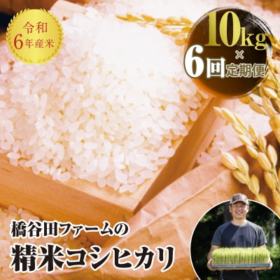 《定期便6ヶ月》 令和6年産米 コシヒカリ 精米 10kg(5kg × 2) F4D-1571