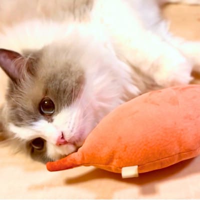 猫のおもちゃ【お芋のけりけり】