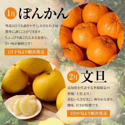 【令和8年発送】オレンジ園の柑橘3種(ぽんかん・文旦・小夏)各10kg 3回定期便【J00105】