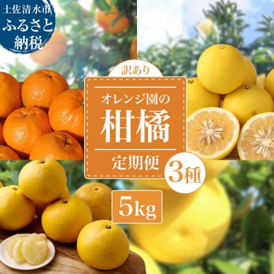 【R8年発送訳あり】オレンジ園の柑橘3種(ぽんかん・文旦・小夏)各5kg 3回定期便【J00102】