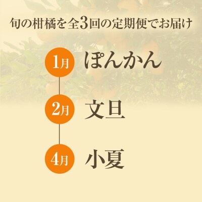 【令和8年発送　訳あり】柑橘3種(ぽんかん・文旦・小夏)各10kg 3回定期便【J00103】