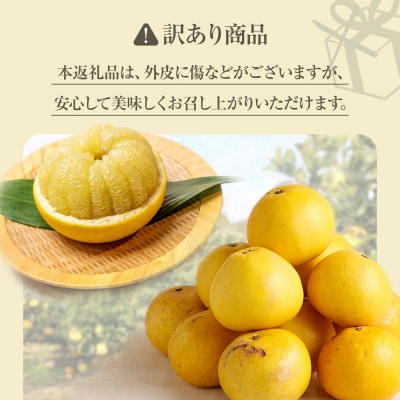 【令和8年発送　訳あり】柑橘3種(ぽんかん・文旦・小夏)各10kg 3回定期便【J00103】