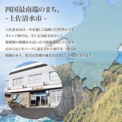 【令和8年発送　訳あり】柑橘3種(ぽんかん・文旦・小夏)各10kg 3回定期便【J00103】