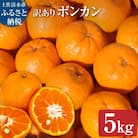 【令和8年発送　訳あり】ぽんかん5kg(オレンジ園) デコポンの親 柑橘 フルーツ【R01080】