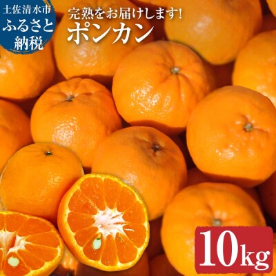 【令和8年発送】オレンジ園のぽんかん10kg デコポンの親 みかん 柑橘 フルーツ【R01084】