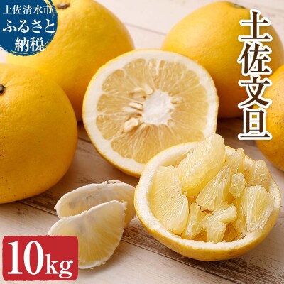 【令和8年発送】オレンジ園の土佐文旦10kg 柑橘 フルーツ みかん ザボン【R01089】