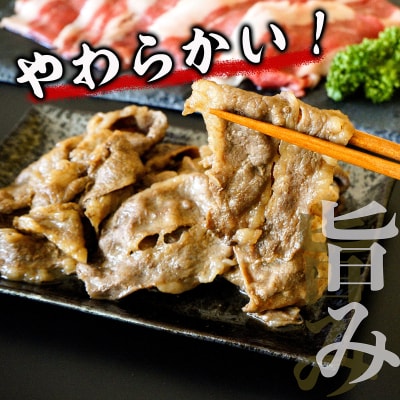 鳥取県産牛 定期便 6ヶ月コース