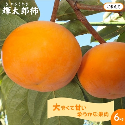 【ご家庭用】輝太郎柿(きたろうかき)6kg 【10月上旬～10月下旬お届け】