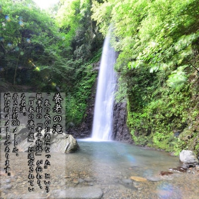 美濃菊　大吟醸中汲み原酒 720ml