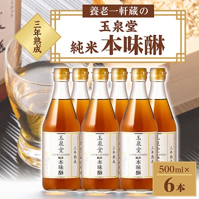 玉泉堂　三年熟成純米本味醂500ml×6本セット