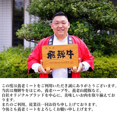 飛騨牛ロースまたは肩ロース600g (焼肉・BBQ用)