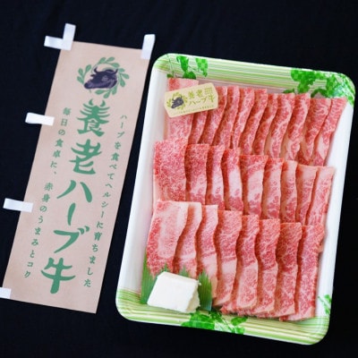 養老ハーブ牛　バラカルビ　焼肉用　500g