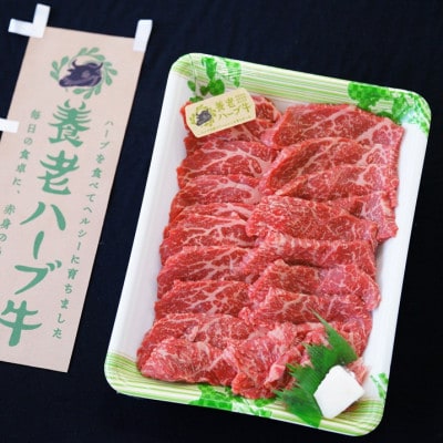養老ハーブ牛　モモまたは肩　焼肉用　500g