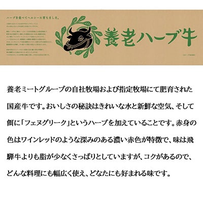 養老ハーブ牛　ロースステーキ　200g×2枚
