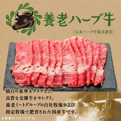 養老ハーブ牛　ロースまたは肩ロース　すき焼き・しゃぶしゃぶ両用　500g
