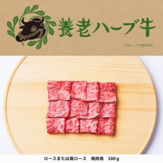 養老ハーブ牛　ロースまたは肩ロース　焼肉用　500g