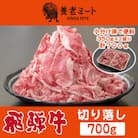 飛騨牛 切り落し 700g 訳あり(350g×2盛りで小分け済)