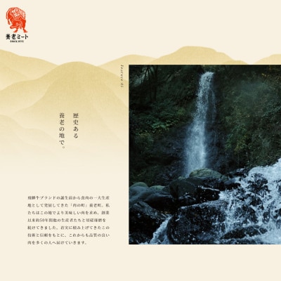 飛騨牛　切り落し　700g(350g×2盛りで小分け済)