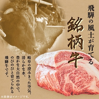 飛騨牛　切り落し　280g　訳あり