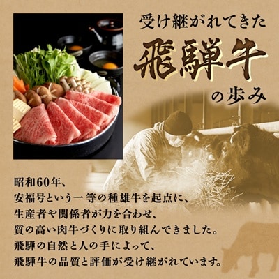 飛騨牛　切り落し　280g　訳あり