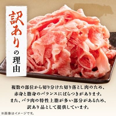 飛騨牛　切り落し　280g　訳あり