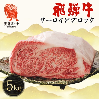 飛騨牛 サーロインブロック 5kg
