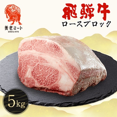 飛騨牛 ロースブロック 5kg