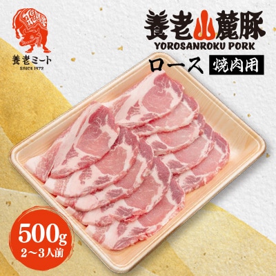 養老山麓豚 ロース 焼肉用 500g(2～3人前)