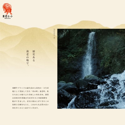 飛騨牛　ヒレステーキ　150g×4枚