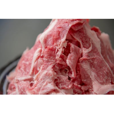 飛騨牛 切り落とし 2.1kg(700g×3P) 訳あり 養老ミート