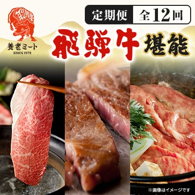 【毎月定期便】月替わりで色々な飛騨牛を楽しめる全12回
