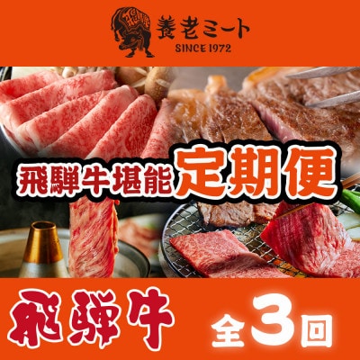 【毎月定期便】月替わりで色々な飛騨牛を楽しめる全3回