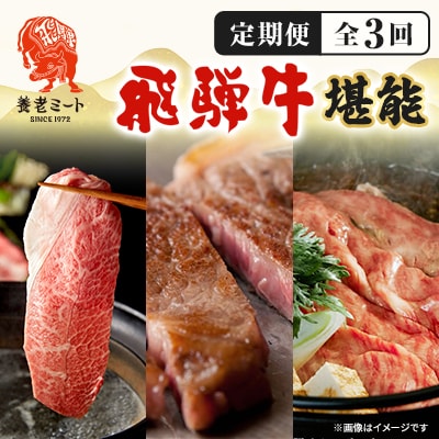 【毎月定期便】月替わりで色々な飛騨牛を楽しめる全3回