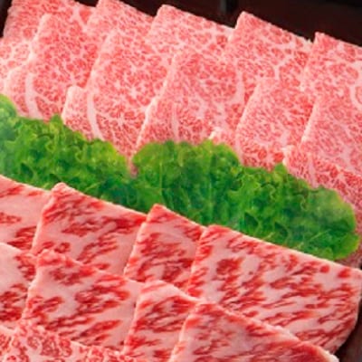 【飛騨牛】肉厚ロースと霜降りカルビの詰め合わせ 焼肉用 計800g 岐阜県産 黒毛和牛