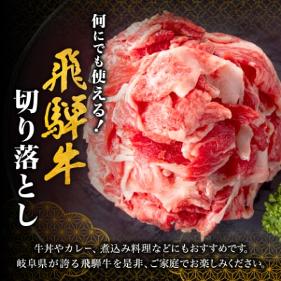 何にでも使える!【飛騨牛】切り落とし800g 岐阜県産 黒毛和牛