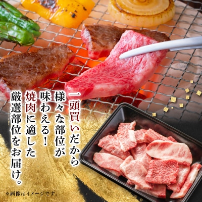 【飛騨牛】切り落し焼肉用 400g 岐阜県産 黒毛和牛