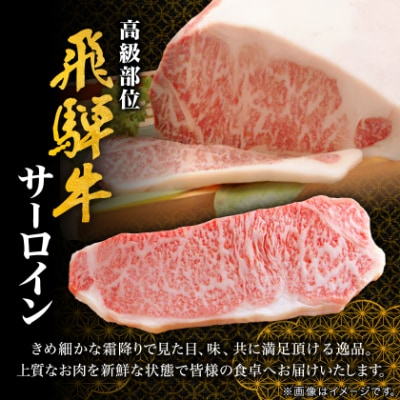 【飛騨牛】サーロインステーキ 2枚入り 計約500g (250g×2枚) 岐阜県産 黒毛和牛