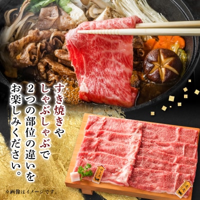 【飛騨牛】ロース、モモスライス詰め合せ250g+250g計500g/岐阜県産