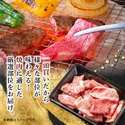 【飛騨牛】切り落し焼肉用 800g 岐阜県産 黒毛和牛