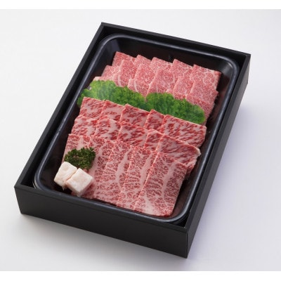 【飛騨牛】肉厚ロースと霜降りカルビの詰め合わせ 焼肉用 計1.6kg 岐阜県産 黒毛和牛