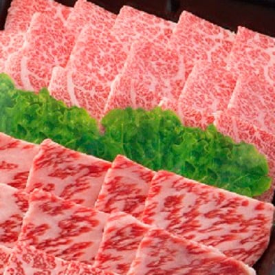 【飛騨牛】肉厚ロースと霜降りカルビの詰め合わせ 焼肉用 計1.6kg 岐阜県産 黒毛和牛