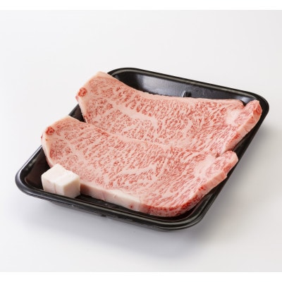 【毎月定期便】【飛騨牛】サーロインステーキ 2枚入り計約500g (250g×2枚) 岐阜県産全3回