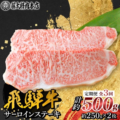 【毎月定期便】【飛騨牛】サーロインステーキ 2枚入り計約500g (250g×2枚) 岐阜県産全3回