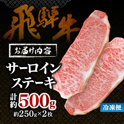 【毎月定期便】【飛騨牛】サーロインステーキ 2枚入り計約500g (250g×2枚) 岐阜県産全3回