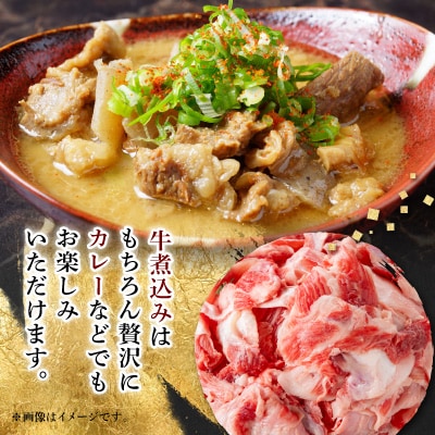 【毎月定期便】【飛騨牛】スジ肉 煮込み用 1kg 岐阜県産 黒毛和牛全3回