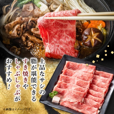 【毎月定期便】【飛騨牛】ローススライス(すき焼き/しゃぶしゃぶ)1kg 岐阜県産 黒毛和牛全3回