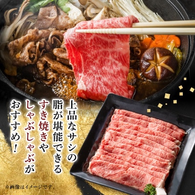 【毎月定期便】【飛騨牛】ローススライス(すき焼き/しゃぶしゃぶ)500g 岐阜県産 黒毛和牛全3回